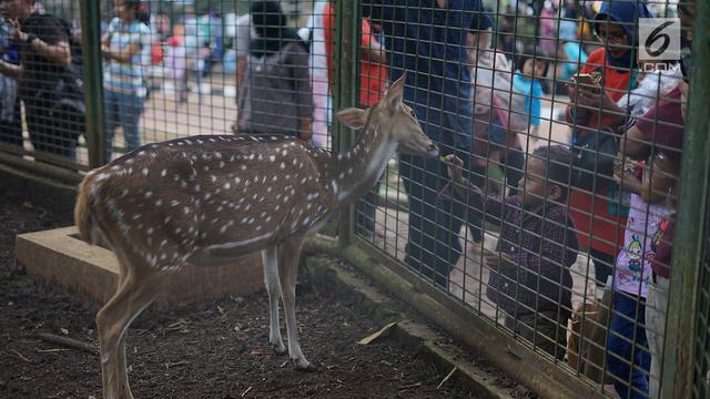 Taman Margasatwa Ragunan