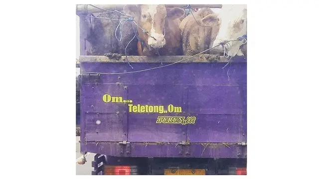 Tulisan truk (Sumber: Instagram/tataqbudi)