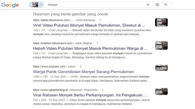 Gambar Tangkapan Layar Penelusuran Foto Menggunakan Situs Google Images.