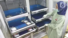 Petugas memeriksa kantung darah di ruang penyimpanan kantor PMI DKI Jakarta, Jumat (20/3/2020). Dampak meluasnya Virus Corona COVID-19, stok darah di PMI Jakarta menurun 60 - 70 persen hingga membuat pihak rumah sakit membuka donor darah atau mengirim pendonor ke PMI. (Liputan6.com/Herman Zakharia)