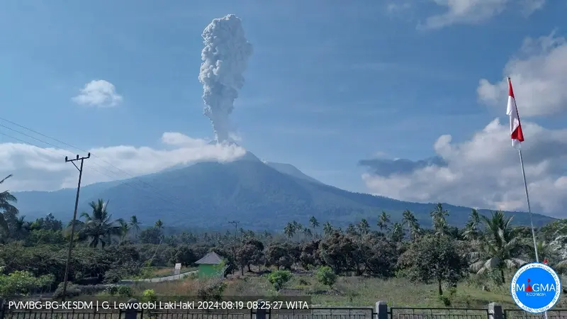 Gunung Lewotobi Laki-laki