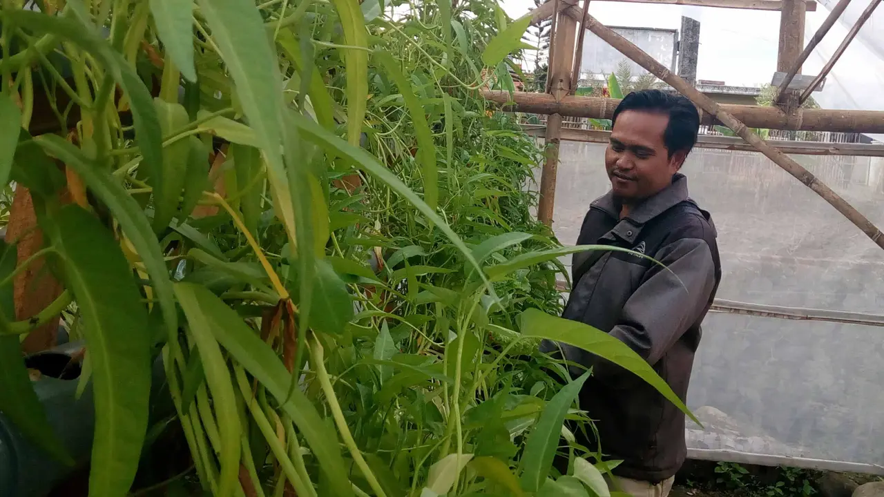 Pacul Digital Para Petani Milenial di Kota Batu