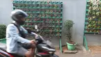 Pengendara melintas di dekat tanaman berkonsep vertikal di Kramat Pela, Jakarta, Selasa (27/8/2019). Minimnya lahan kosong di Ibu kota membuat warga memanfaatkan lahan untuk bercocok tanam agar terciptanya lingkungan yang bersih, hijau, sehat dan nyaman. (Liputan6.com/Herman Zakharia)