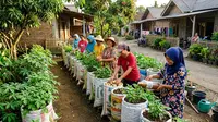 7 Ide Kebun Sayur untuk Ibu Dasawisma dari Barang Bekas, Hijaukan Rumah Hemat Biaya