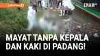 Geger! Penemuan Mayat Tanpa Kepala dan Kaki di Padang