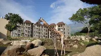 Taman Safari Indonesia II Prigen, Jawa Timur menghadirkan fasilitas baru yaitu Baobab Safari Resort yang bisa Anda nikmati bersama keluarga. (Foto: Taman Safari Indonesia Group)