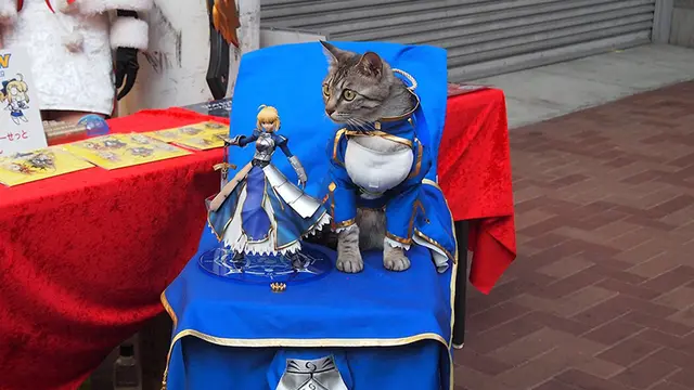 Lelaki Ini Buatkan Kostum Anime Untuk Cosplay Dua Kucingnya, Yuki dan Koyomi