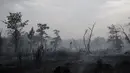 Pohon yang terbakar saat kebakaran hutan di Saumos, pinggiran barat Bordeaux, barat daya Prancis (13/9/2022). Kebakaran yang berlangsung sejak 12 September 2022 telah menyebar sekitar 1800 hektar vegetasi dan hutan di Saumos dan memaksa evakuasi kota dalam konteks suhu tinggi di Gironde. (AFP/Philippe Lopez)