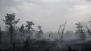 Pohon yang terbakar saat kebakaran hutan di Saumos, pinggiran barat Bordeaux, barat daya Prancis (13/9/2022). Kebakaran yang berlangsung sejak 12 September 2022 telah menyebar sekitar 1800 hektar vegetasi dan hutan di Saumos dan memaksa evakuasi kota dalam konteks suhu tinggi di Gironde. (AFP/Philippe Lopez)