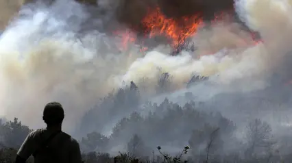 Kebakaran Hutan Ancam Kota Wisata Villa de Leyva di Kolombia
