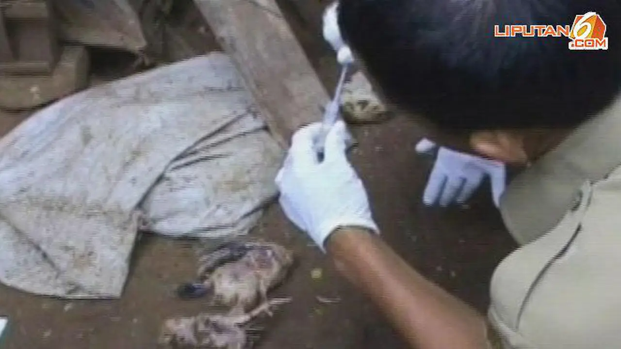 Unggas mati diduga flu burung