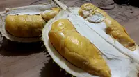 Mencicip Durian Unggulan Banjarnegara, Awas Ketagihan