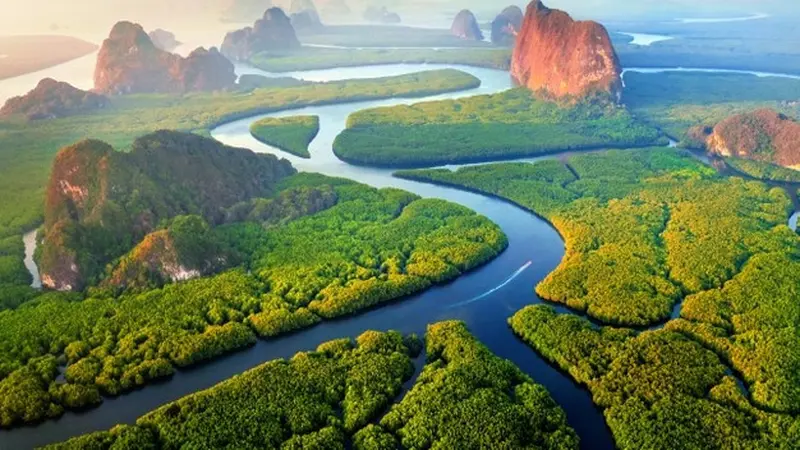 Ilustrasi sungai