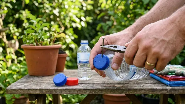 Cara Membuat Sistem Self-Watering dari Botol Bekas
