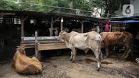 Sejumlah hewan kurban dijual di Pasar Kambing, Tanah Abang, Jakarta, Selasa (13/7/2021). Menurut pedagang, bisanya memasuki satu minggu sebelum Idul Adha Pasar Kambing mulai ramai dikunjungi pembeli. (Liputan6.com/Faizal Fanani)