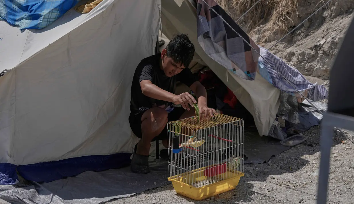 Seorang anak pengungsi yang meninggalkan desanya bersama keluarganya di Lebanon Selatan, memberi makan seekor burung di luar tendanya di kota pelabuhan selatan Sidon, Rabu 10 Juni 2026. (AP Photo/Mohammed Zaatari)
