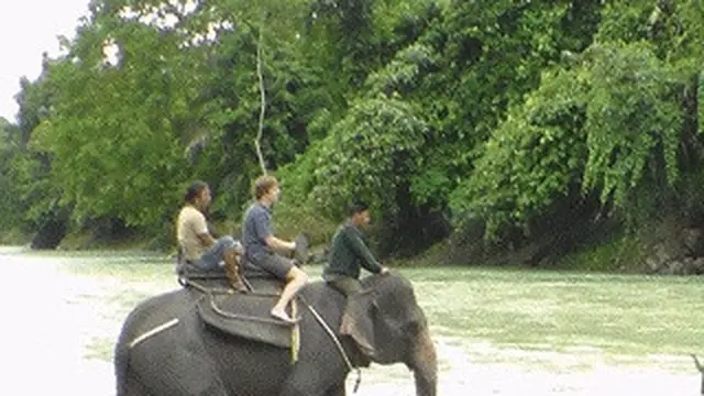 Taman Nasional Gunung Leuser (TNGL)