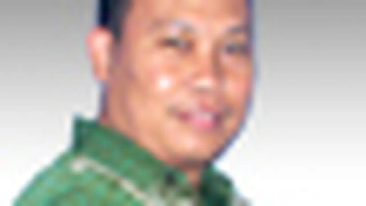 rommy-fibri_thumb.jpg