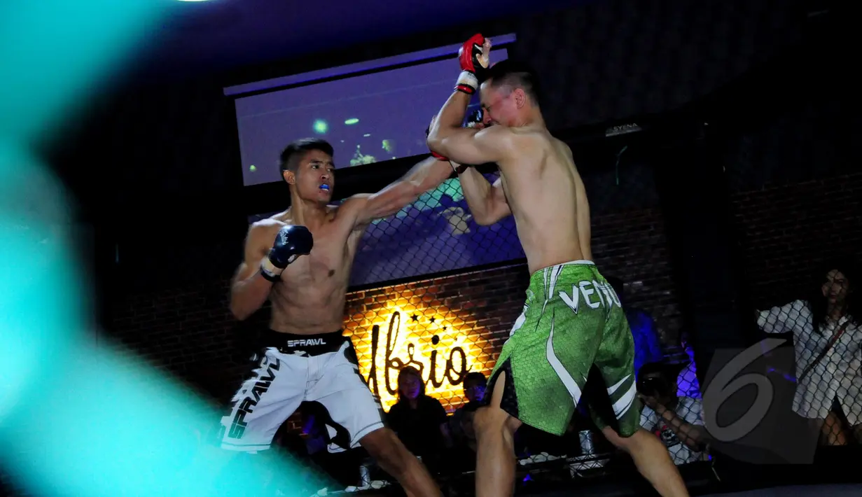  Salah satu atlet melakukan pukulan kepada lawannya pada ajang XXC Championship 2015 yang dihelat di Embrio Markas Cafe, Jakarta, Minggu (12/04/15). Kejuaraan memperebutkan gelar Indonesia Extreme Cage Champtionship 2015. (Liputan6.com/Faisal R Syam)