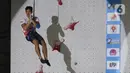 Indonesia pun meraih satu gelar di nomor speed putra Piala Dunia Panjat Tebing 2023 ini. (Liputan6.com/Johan Tallo)