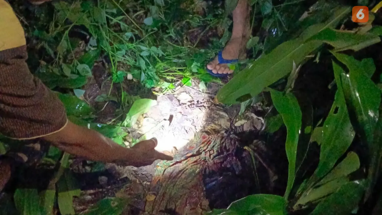 Lokasi penemuan bayi laki-laki terlilit ari-ari di kebun warga Kecamatan Gunungguruh Kabupaten Sukabumi (Liputan6.com/Istimewa).