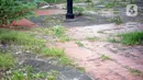 Kondisi Taman Martha Tiahahu yang terbengkalai di kawasan Blok M, Jakarta Selatan, Selasa (17/11/2020). Taman yang berdiri sejak 1948 tersebut kini kondisinya terbengkalai, dengan sampah dan rumput liar yang tumbuh hampir di seluruh sudut taman. (Liputan6.com/Immanuel Antonius)
