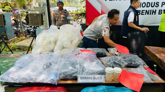 Polres Bandara Soetta menggagalkan penyelundupan benih lobster ke Singapura.
