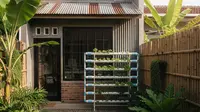 9 Model Rumah Mungil tapi Punya Halaman Belakang untuk Hidroponik, Mini tapi Maksimal