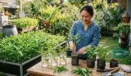 10 Cara Menanam Kangkung Tanpa Harus Membeli Benih Baru, Praktis dan Hemat