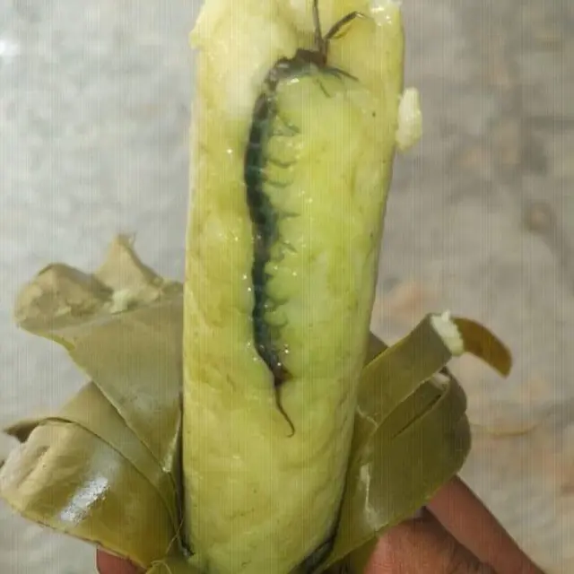 6 Potret Penemuan Nyeleneh di Makanan Ini Bikin Heran, Jadi Enggak Nafsu