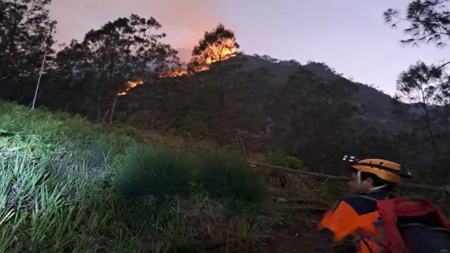 Petir Sambar Pohon Diduga Picu Kebakaran Gunung Panderman