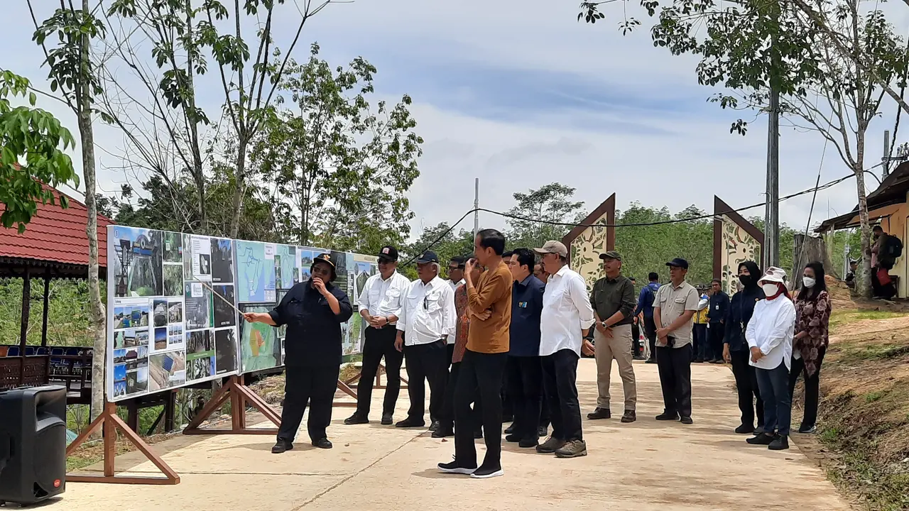 Presiden Jokowi saat meninjau Persemaian Mentawir di Kawasan IKN, Kabupaten Penajam Paser Utara, Kalimantan Timur, Kamis (23/2/2023).