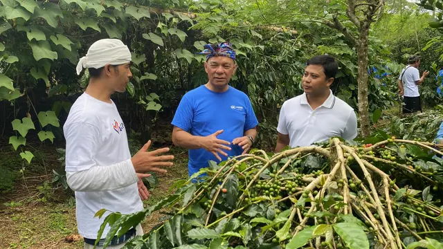 Askrindo Dukung Tingkatkan Produksi Kopi Kintamani Lewat UMKM
