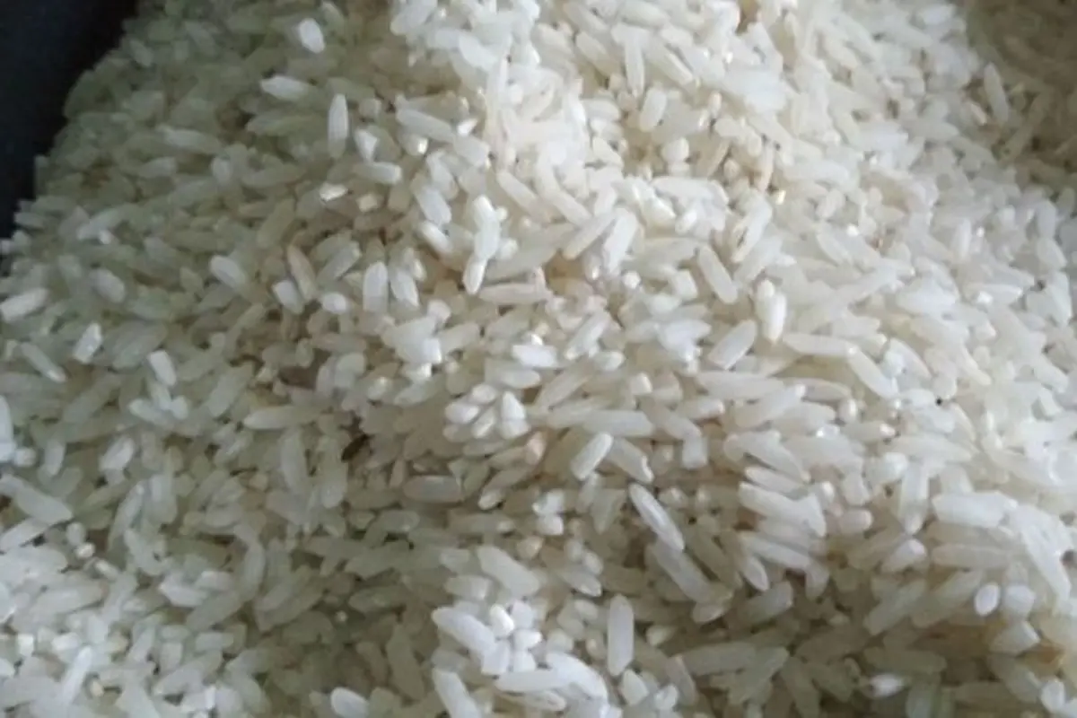 Kata DPRD Kota Cirebon Soal Warga Makan Beras Berkutu