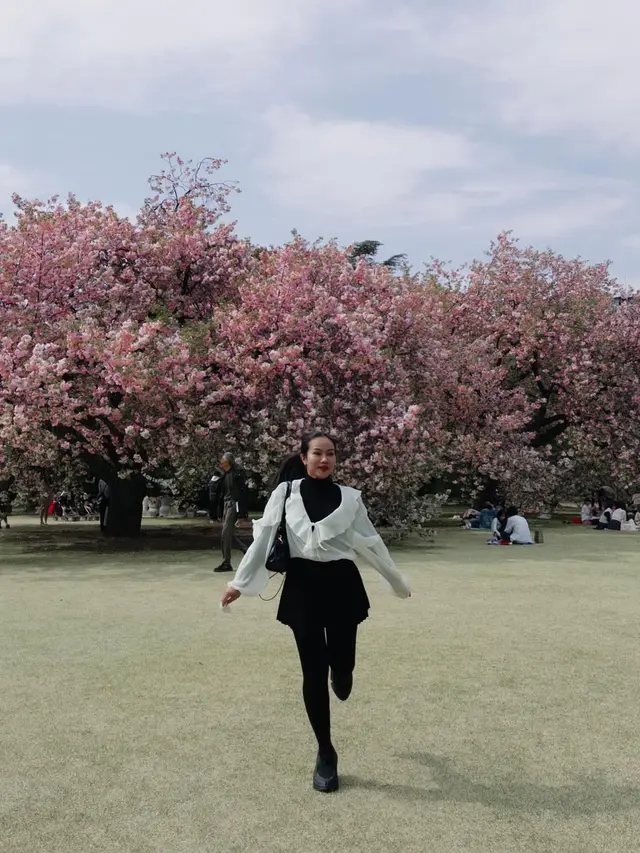 Adu Gaya Syifa Hadju, Ariel Tatum, dan Yura Yunita Saat Nikmati Sakura: Inspirasi Tampilan Elegan Musim Semi