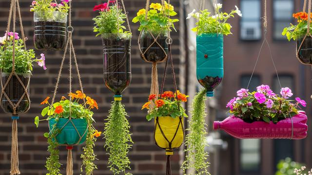 7 Langkah Sederhana Bikin Taman Botol Mini Estetik, Cocok untuk Lahan Terbatas