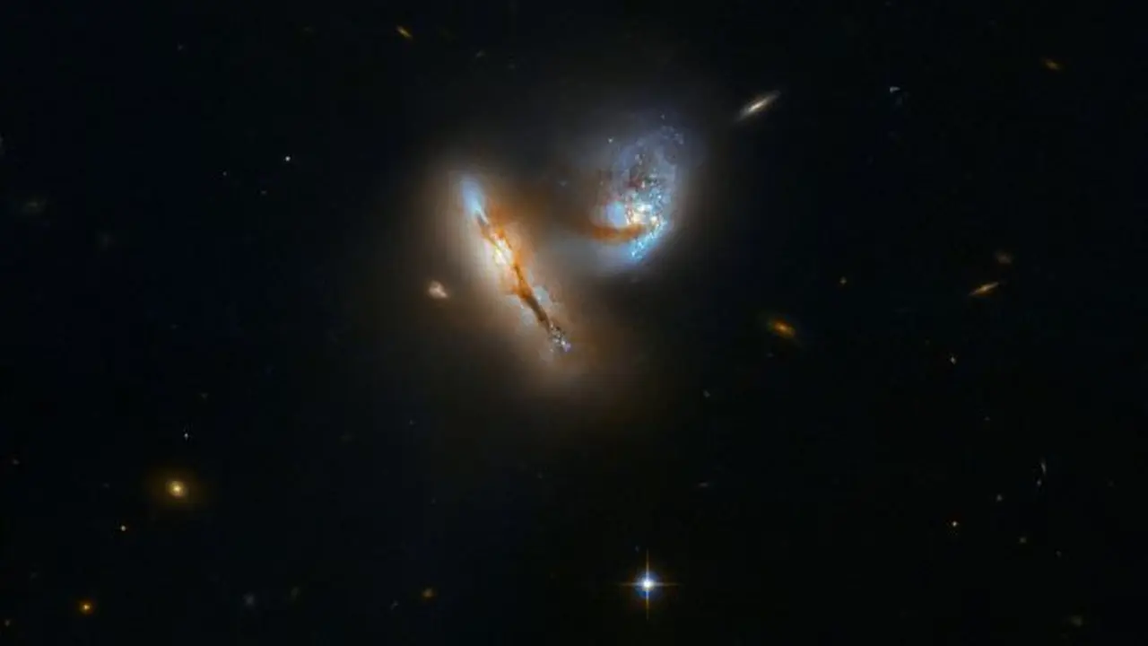 Dua galaksi, yang disebut UGC 2369 dan berjarak sekitar 424 juta tahun cahaya dari Bumi, diperkirakan akan menabrak dan bergabung menjadi satu (Hubble / A. Evans / NASA / ESA)