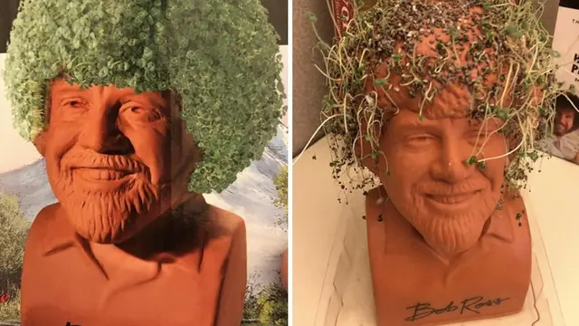 ekspektasi vs realita