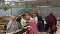 PNM Dorong Perempuan Pengusaha Ultra Mikro Naik Kelas