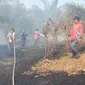 Petugas pemadam kebakaran Kabupaten Paser saat berupaya memadamkan kebakaran hutan dan lahan di wilayah Paser.