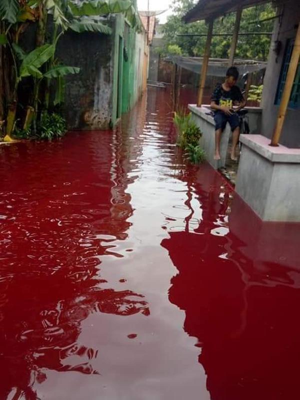 Potret Banjir Pekalongan Berwarna Merah (Sumber:Twitter//McMenangSusilo)