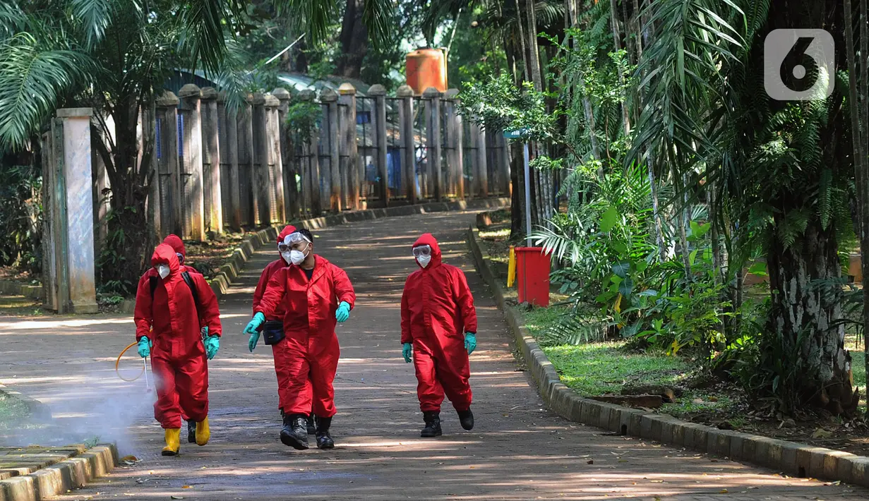 Petugas pemadam kebakaran Sudin Jaksel melakukan penyemprotan disinfektan di Kebun Bintang Ragunan, Jakarta, Rabu (17/6/2020). Penyemprotan dilakukan jelang pembukaan kembali Kebun Binatang Ragunan untuk umum pada 20 Juni mendatang. (merdeka.com/Arie Basuki)