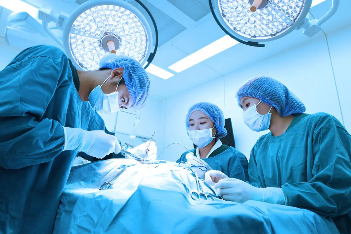 6 Fakta Mengenai Operasi Kelamin (Nimon/Shutterstock)