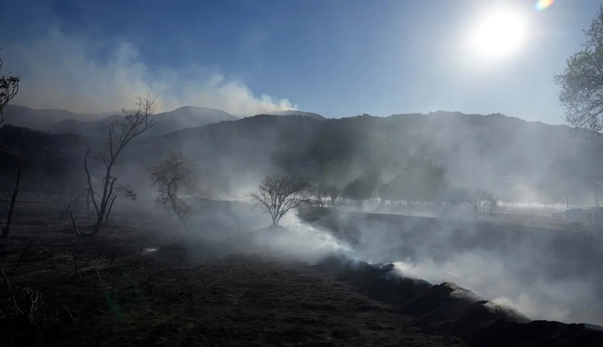Asap sisa kebakaran ladang dan perbukitan di Dataran Tinggi Aguanga, California, Amerika Serikat, Selasa, 31 Oktober 2023. (AP Photo/Marcio Jose Sanchez)