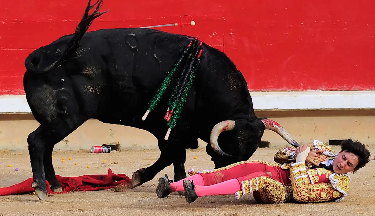 Matador Peru, Andres Roca Rey ditanduk banteng saat Fermin Festival San di Pamplona, pada 7 Juli 2016.( AFP PHOTO / Ander GILLENEA)