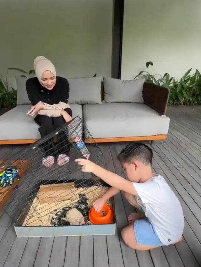 Potret Hewan Peliharaan Athar Anak Citra Kirana dan Rezky Aditya (instagram/citraciki)