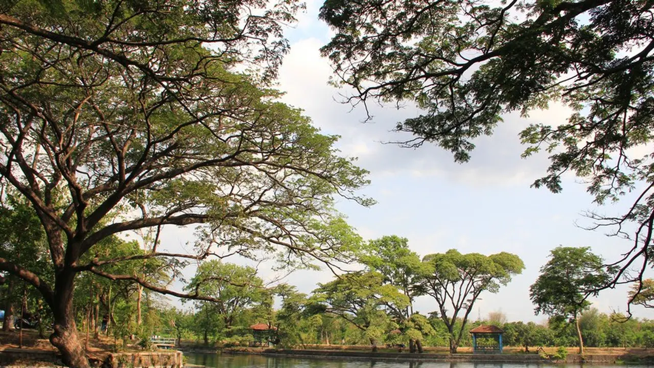 Ranu Ronggojalu