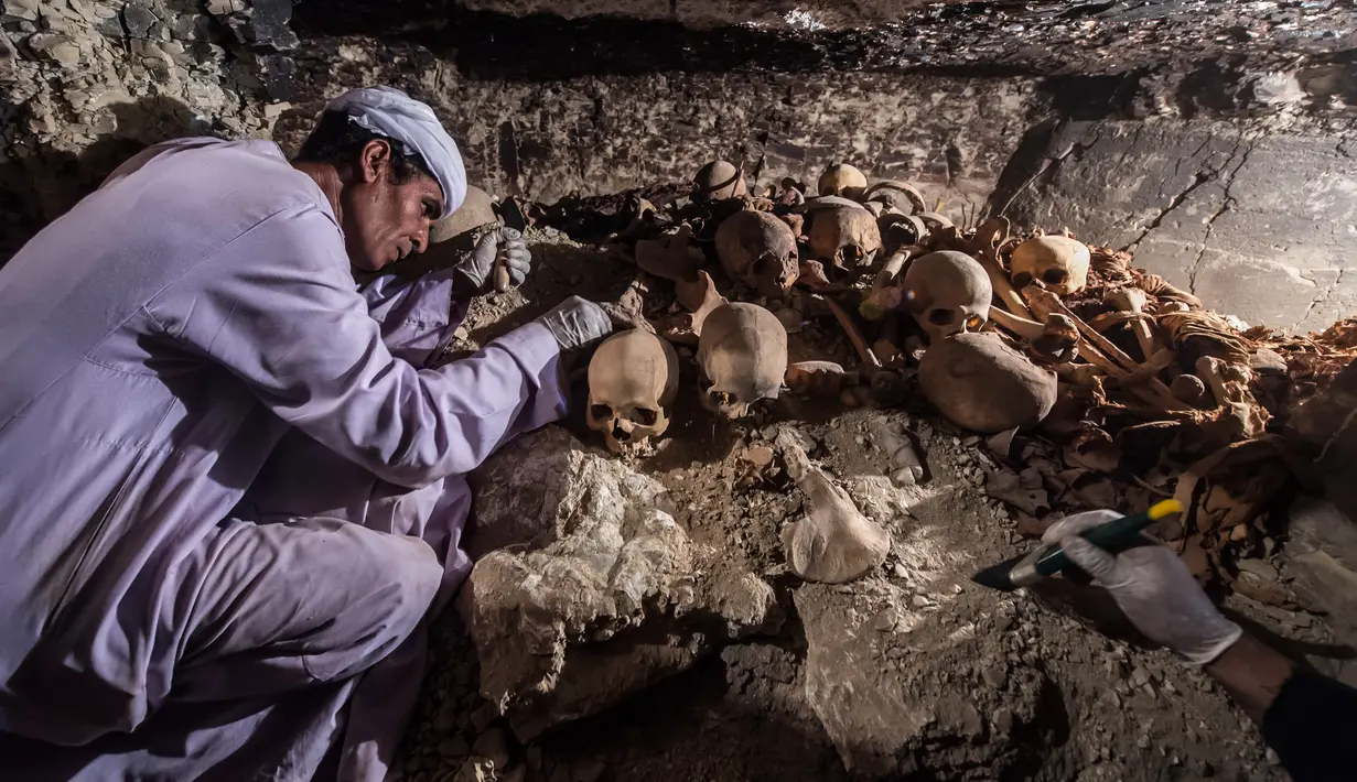 Seorang arkeolog tengah menggali tengkorak dan tulang yang berada di sebuah makam kuno di kota Luxor, Mesir (9/9). Makam ini diduga dulunya milik seorang pandai emas dan istrinya yang ditandai oleh penemuan patung keduanya. (AFP Photo/Khaled Desouki)