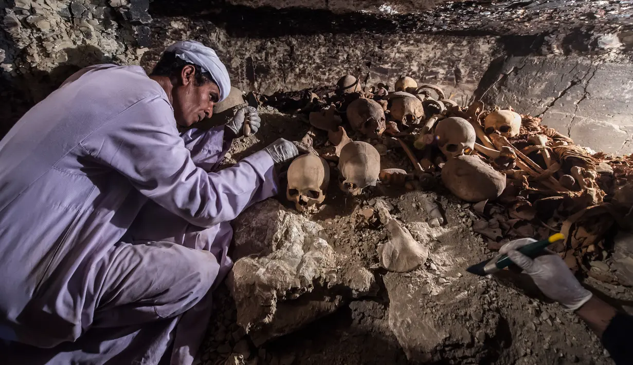 Seorang arkeolog tengah menggali tengkorak dan tulang yang berada di sebuah makam kuno di kota Luxor, Mesir (9/9). Makam ini diduga dulunya milik seorang pandai emas dan istrinya yang ditandai oleh penemuan patung keduanya. (AFP Photo/Khaled Desouki)