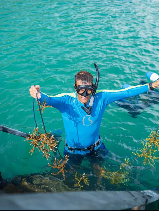 Komitmen terhadap konservasi lingkungan terus menjadi fokus utama AYANA Komodo. Upaya pelestarian kehidupan laut dilakukan tepat di depan garis pantai resor, melalui program restorasi terumbu karang yang dijalankan di area dermaga AYANA Komodo.  [Dok. AYANA Komodo]